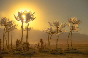 Pulse and Bloom - an honorarium grant from Burning Man for the interactive project